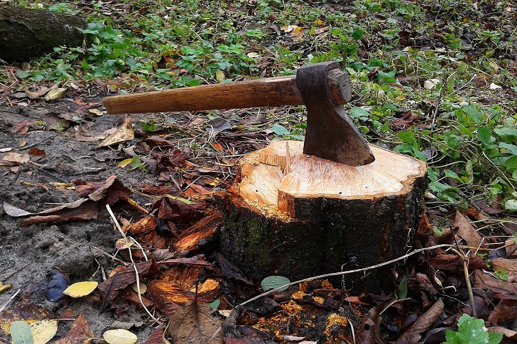 axe-750x500