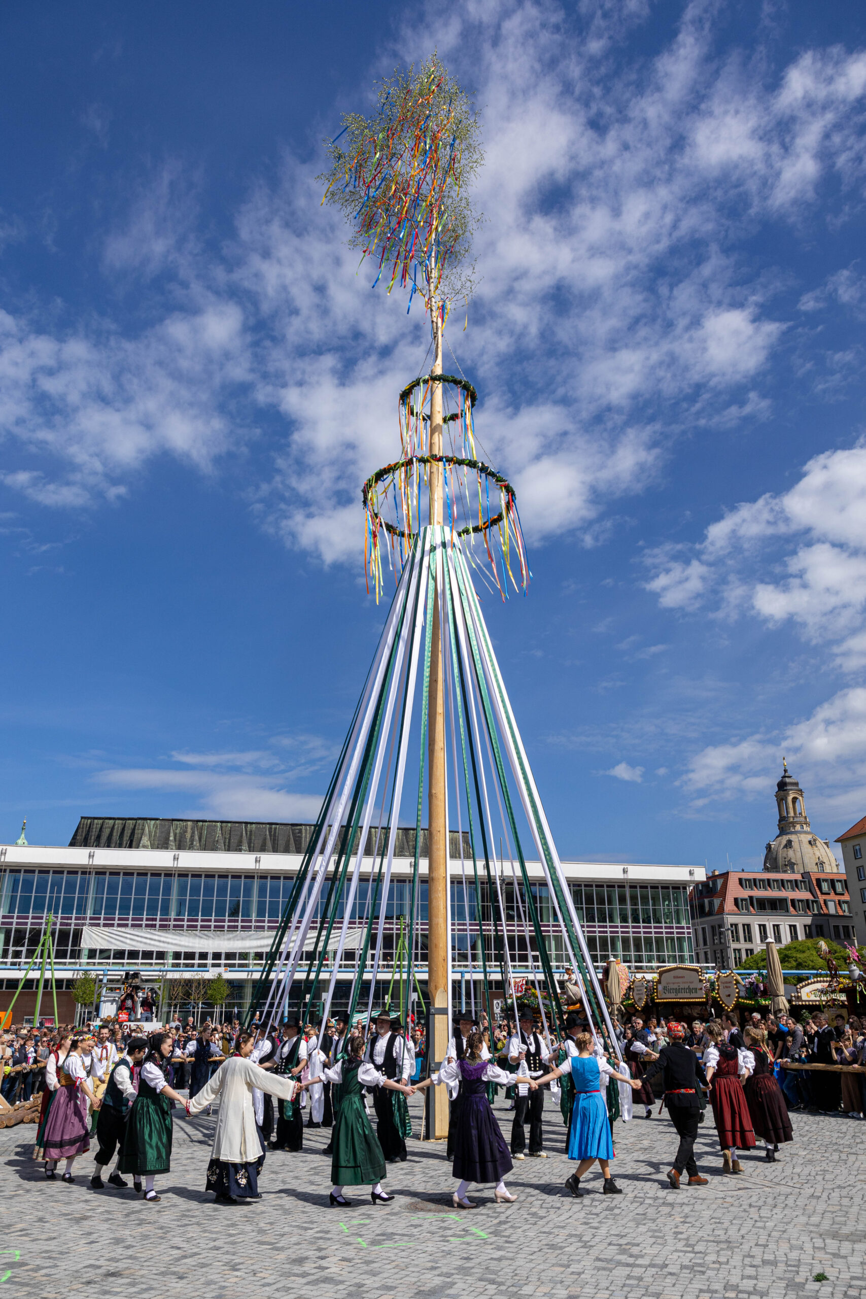 maibaum-002